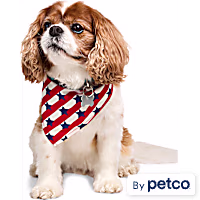 YOULY Stars and Stripes Dog Bandana