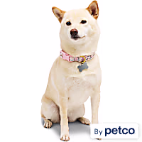 YOULY Pink Boucle Dog Collar