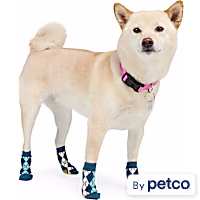 YOULY Blue Argyle Dog Socks