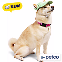 YOULY Star & Moon Pet Hat