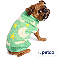 YOULY Star & Moon Pet Sweater