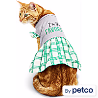 YOULY I'm the Favorite Cat Dress