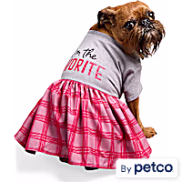YOULY I'm the Favorite Plaid Pet Dress