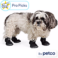 YOULY All-Weather Wrap Dog Boot