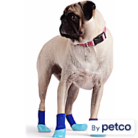 YOULY Colorblock Socks for Dogs