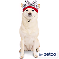 YOULY Leopard Print Dog Hat