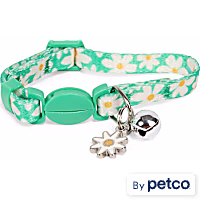 YOULY Daisy Breakaway Kitten Collar