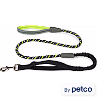 YOULY Adventure Shock-Absorbing Dog Leash