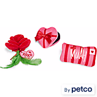 YOULY Valentine's Day Catnip Gift Set