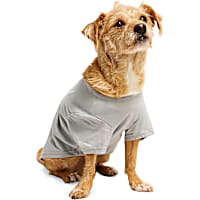 YOULY Gemini Zodiac Sign Pet T-Shirt