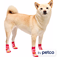 YOULY Gingham Flower Dog Socks