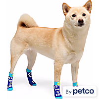 YOULY Ball Is Life Dog Socks