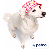YOULY Gingham Flower Bucket Pet Hat
