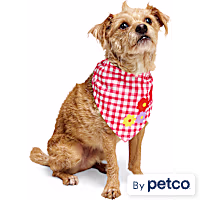 YOULY Gingham Dog Bandana