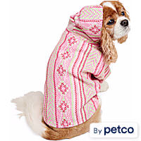 YOULY Baja Pet Hoodie