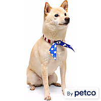 YOULY American Flag Tie Dog Bandana