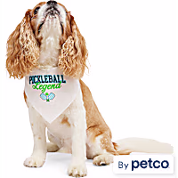 YOULY Pickleball Dog Bandana