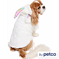 YOULY Easter Bunny Pet Hoodie
