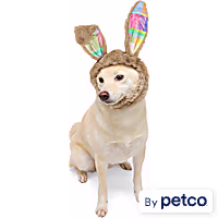 YOULY Easter Bunny Ears Pet Hat