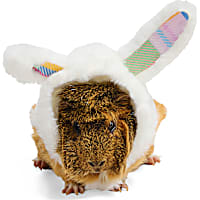 YOULY Easter Bunny Small Animal Hoodie
