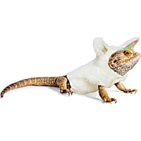 YOULY Easter Bunny Bearded Dragon Hoodie