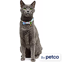 YOULY Easter Breakaway Cat Collar