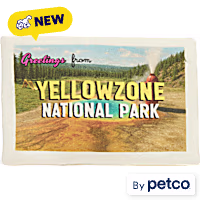 YOULY Yellow Zone National Park Travel Postcard Plush Dog Toy