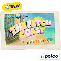 YOULY Fetch Coast Travel Postcard Plush Dog Toy