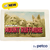 YOULY Mount Ruffmore Travel Postcard Plush Dog Toy