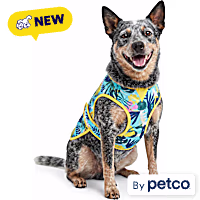 YOULY Cool-to-Touch Reversible Dog Vest