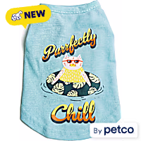 YOULY Purrfectly Chill Cat T-Shirt