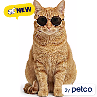 YOULY Summer Prop Cat Sunglasses