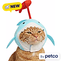 YOULY Shark Cat Headpiece