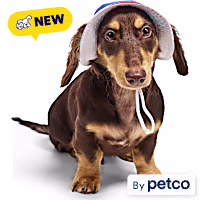YOULY Pride Reversible Bucket Dog Hat
