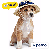 YOULY Raffia Pet Bucket Hat