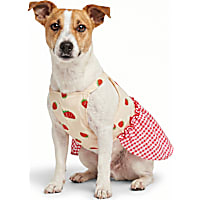 YOULY Red, White & Blue Striped Pet Dress