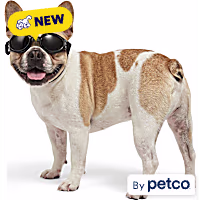 YOULY Dog Goggles Eyewear