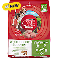 Purina ONE Plus Whole Body Support with Chicken Dry Dog Food