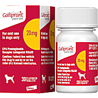 Galliprant 20 mg for Dogs