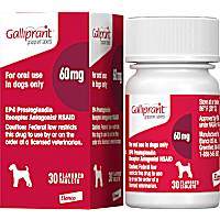 Galliprant 60 mg for Dogs