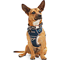 Reddy Canvas Dog Harness