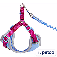YOULY Reflective Utility Cat & Large Cat Harness & Leash Set