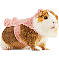 YOULY Blush Teddy Small Animal Dog Hoodie