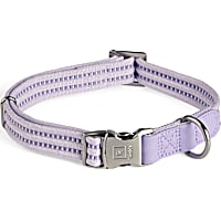 Reddy Webbed Dog Collar