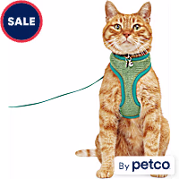 YOULY Updated Mesh Cat Harness & Leash Set