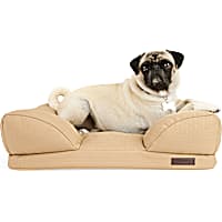 Reddy Indoor/Outdoor Dog Bed