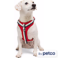 YOULY Comfort Neoprene Dog Harness
