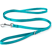 YOULY The Classic Webbed Nylon Dog Leash