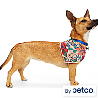 YOULY Floral Reversible Dog Bandana