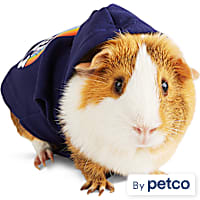 YOULY Be You Small Animal Dog Hoodie
